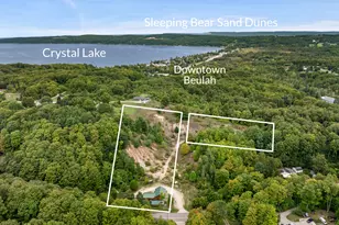 7314 Walker St, Benzonia, MI 49616 - Photo 4
