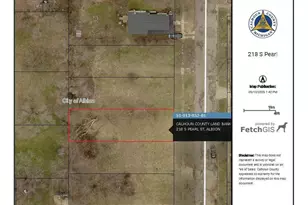 218 S Pearl St, Albion, MI 49224 - Photo 1