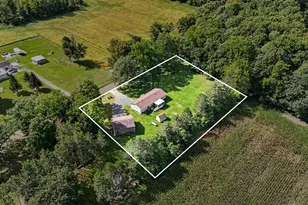 5291 Nickleplate Rd, Ionia, MI 48846 - Photo 32