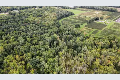 County Road 653, Gobles, MI 49055 - Photo 14