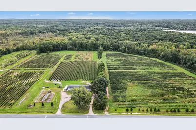 County Road 653, Gobles, MI 49055 - Photo 16