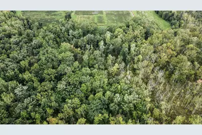County Road 653, Gobles, MI 49055 - Photo 12