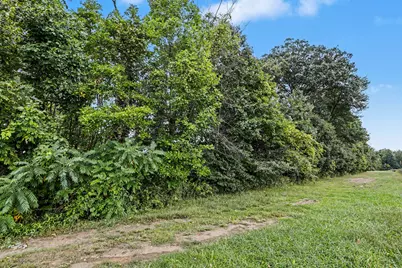 County Road 653, Gobles, MI 49055 - Photo 6