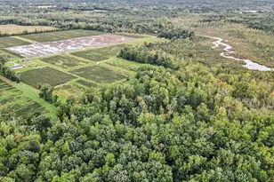 County Road 653, Gobles, MI 49055 - Photo 1