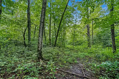 County Road 653, Gobles, MI 49055 - Photo 8