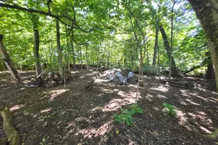 7976 Central Ave, Coloma, MI 49038 - Photo 94