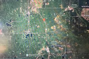 9858 N Woodbridge Ave, Bitely, MI 49309 - Photo 42