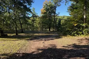 9858 N Woodbridge Ave, Bitely, MI 49309 - Photo 8