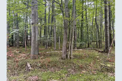 8228 Tanglewood Trail, Stanwood, MI 49346 - Photo 1
