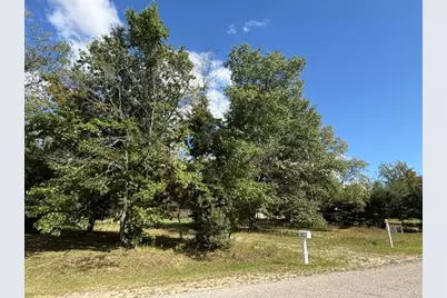 9610 W Lotan Road, Lake City, MI 49651 - Photo 2