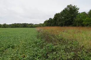 9741 E Cutler Rd, Laingsburg, MI 48848 - Photo 58