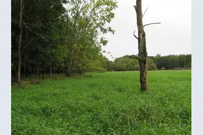 9741 E Cutler Road, Laingsburg, MI 48848 - Photo 108