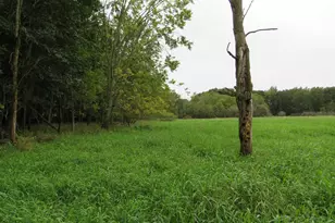 9741 E Cutler Rd, Laingsburg, MI 48848 - Photo 108