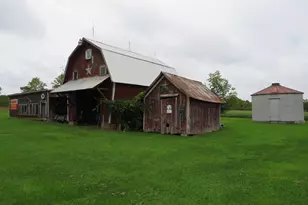 9741 E Cutler Rd, Laingsburg, MI 48848 - Photo 14