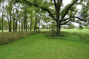 9741 E Cutler Rd, Laingsburg, MI 48848 - Photo 56