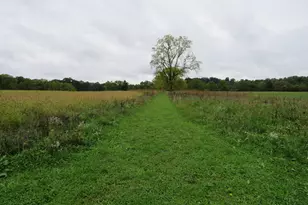 9741 E Cutler Rd, Laingsburg, MI 48848 - Photo 54