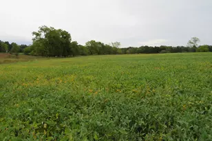 9741 E Cutler Rd, Laingsburg, MI 48848 - Photo 124