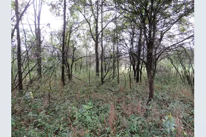9741 E Cutler Road, Laingsburg, MI 48848 - Photo 114
