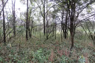 9741 E Cutler Rd, Laingsburg, MI 48848 - Photo 114