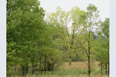 9741 E Cutler Road, Laingsburg, MI 48848 - Photo 118