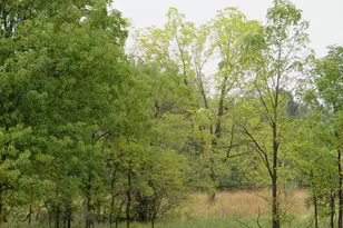 9741 E Cutler Rd, Laingsburg, MI 48848 - Photo 118