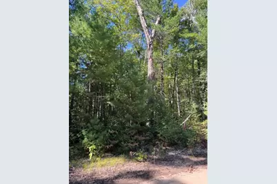 V/L S Pershing Road, Baldwin, MI 49304 - Photo 2