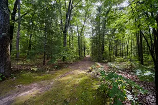 17349 Hoxeyville Rd, Wellston, MI 49689 - Photo 4