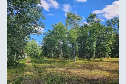 V/L W Jeffers, Irons, MI 49644 - Photo 2