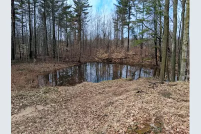 5626 W Rhoby Road, Lake City, MI 49651 - Photo 12