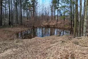 [Address not provided], Lake City, MI 49651 - Photo 12