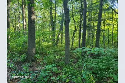 0 Buchanan Street, Grand Haven, MI 49417 - Photo 6