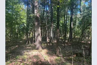 9 Mile Road, Stanwood, MI 49346 - Photo 6