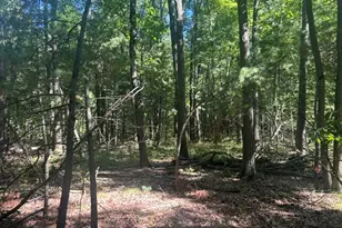 9 Mile Rd, Stanwood, MI 49346 - Photo 1