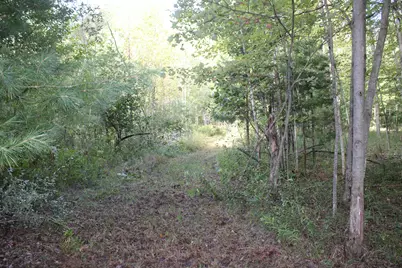 812 S Lorenz Road, Tawas City, MI 48763 - Photo 90