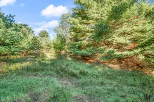 10688 N Sherman Rd, Barryton, MI 49305 - Photo 54