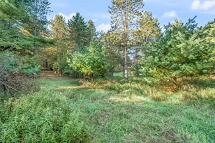 10688 N Sherman Rd, Barryton, MI 49305 - Photo 52