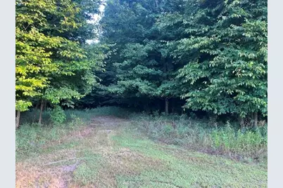 14 Acres 9 Mile Road, Kaleva, MI 49645 - Photo 4