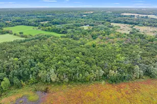 14717 Manning Lake Rd, Battle Creek, MI 49017 - Photo 58