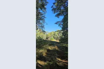 River Ranch Road, Hersey, MI 49639 - Photo 18