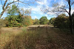River Ranch Rd, Hersey, MI 49639 - Photo 1