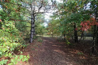 River Ranch Road, Hersey, MI 49639 - Photo 6