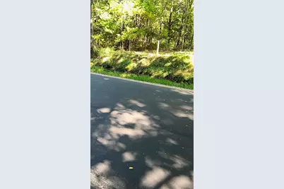 Polp Centerline, Newaygo, MI 49337 - Photo 4