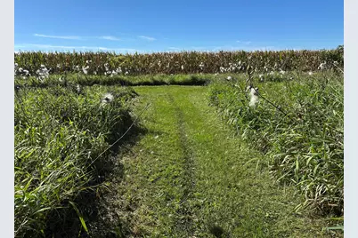 75512 County Road 665, Lawton, MI 49065 - Photo 8