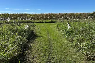 75512 Co Rd 665, Lawton, MI 49065 - Photo 8