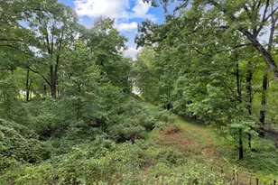 70170 Arbola Dr, White Pigeon, MI 49099 - Photo 4