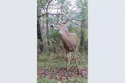 Arthur Drive, Grass Lake, MI 49240 - Photo 18