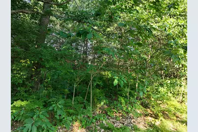 6539 E Madison Road, Walkerville, MI 49459 - Photo 20