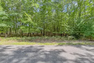 6336 Abbey Ln, Canadian Lakes, MI 49346 - Photo 1