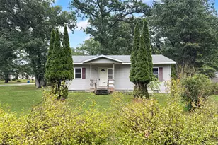 912 E James St, White Cloud, MI 49349 - Photo 6