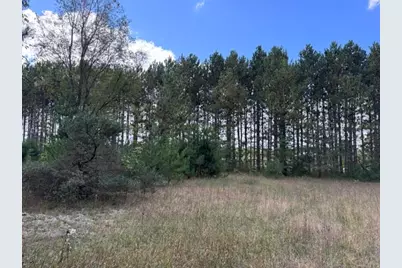 1 Acre Crestview/Us Highway 10, Reed City, MI 49677 - Photo 6